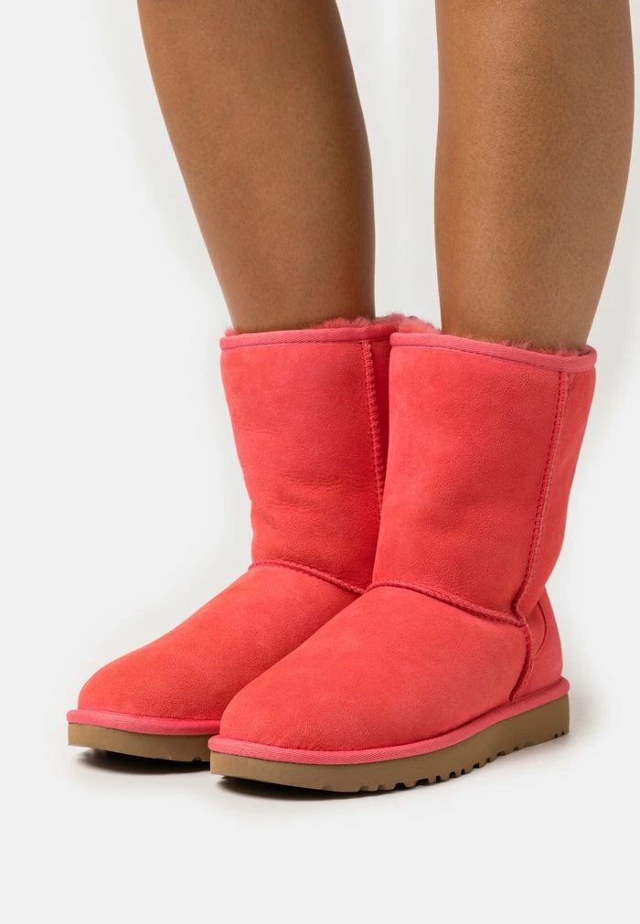 UGG CLASSIC SHORT - Classic Ankle Boots - Nantucket Coral